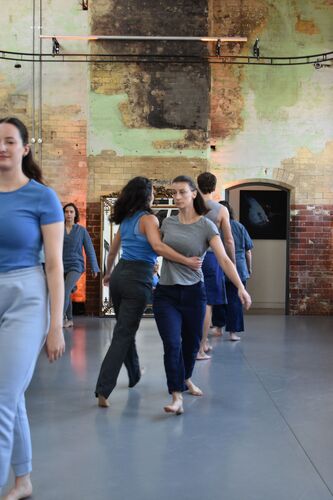 Participants in movement in the CoisCéim studio