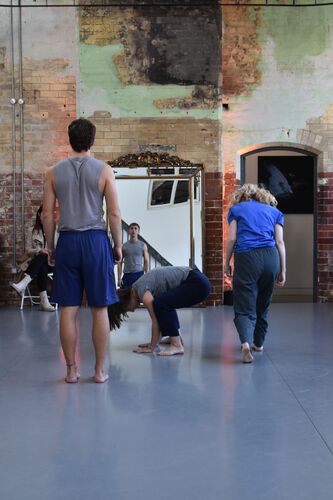 Participants in movement in the CoisCéim studio