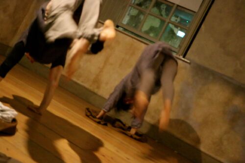 Two figures standing on their hands with legs blurred in motion above them