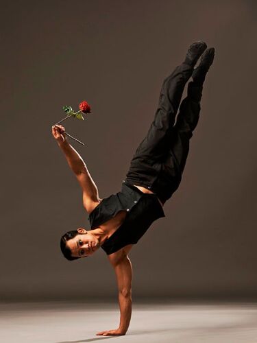 A figure in a handstand on one hand with his other hand raised holding a rose
