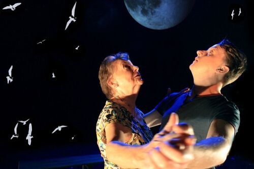 Two figures dancing together in a waltz looking upward