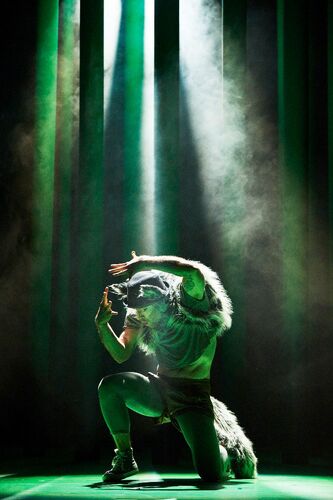 Mateusz-Szczerek in a wolf costume in movement centre stage