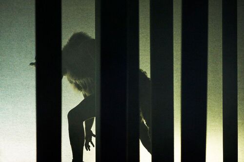 Mateusz-Szczerek as a wolf in silhouette