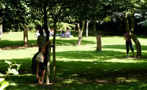 Participants in movement behind trees in a green space outdoors