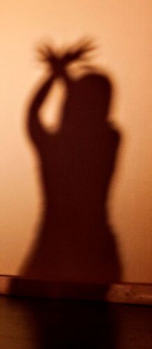 The shadow of a participant in movement cast on a wall