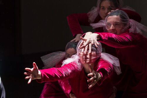 Participants in movement with sheer pink fabric gathered across their faces