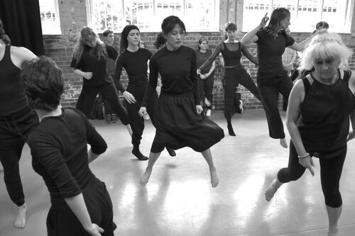 Participants in movement in the CoisCéim studio