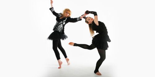 COIS_Web_Hero_Image_1600x800px_72dpi_isadora-door-2008