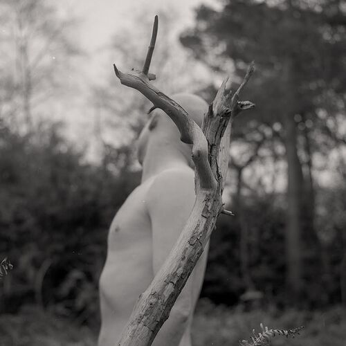 A man holding a wooden branch in his hand